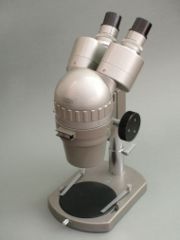 Stereo microscope